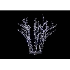 Arbust luminos, EB30384 Arbust luminos, EB30384