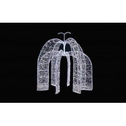 Fantana luminoasa, EB30379