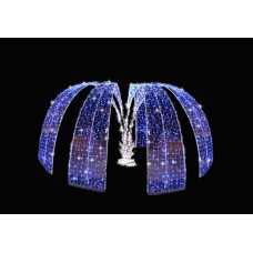 Fantana luminoasa, EB30753